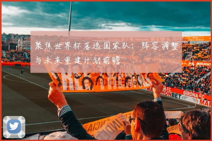 聚焦世界杯落选国家队：阵容调整与未来重建计划前瞻
