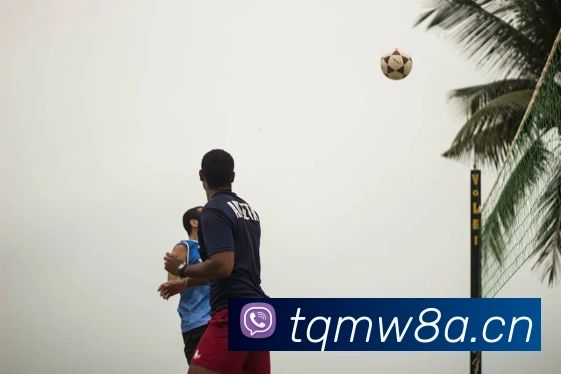 K1体育十年品牌值得信赖官网入口平台生态图